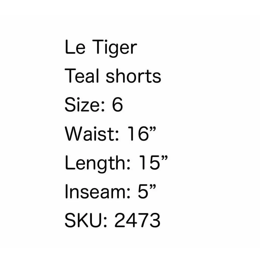 Le Tigre Teal Blue Patterned Shorts- Size 6